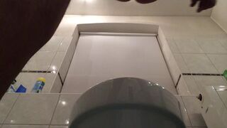 turd from above