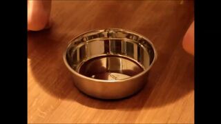 Twink eats his shit from a bowl