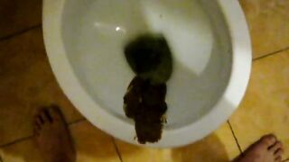shit on the toilet and piss