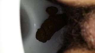 Hairy wife shitting in toilet On shittytube