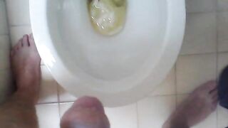 Shitting On Bathroom Floor