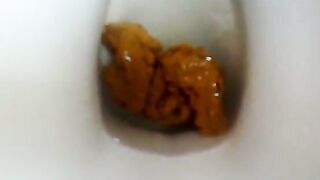 Toilet Cam Poo
