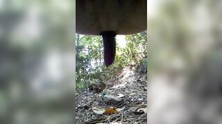 Big one in the woods