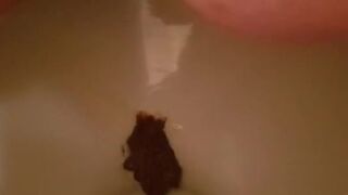 GF shitting 5, ScatKings.com Scat Porn 16 ScatKings.com Scat Porn