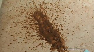 Messy Messy, ScatKings.com Scat Porn 18 ScatKings.com Scat Porn