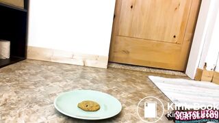 Mmm Freshly Made Shit Snack, ScatKings.com Scat Porn 15 ScatKings.com Scat Porn